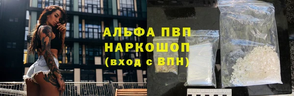 PSILOCYBIN Алексеевка