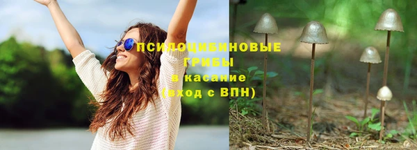 PSILOCYBIN Алексеевка