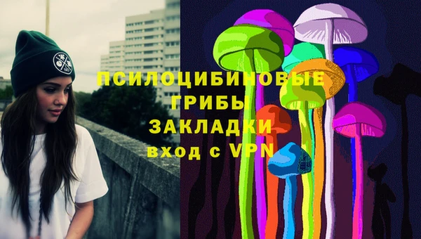 PSILOCYBIN Алексеевка