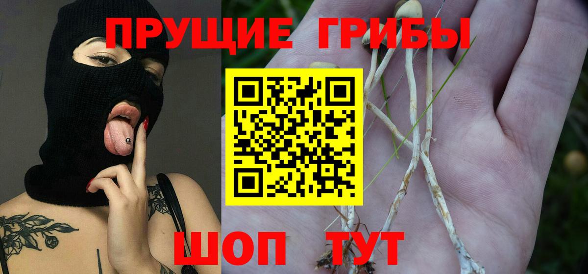 Елабуга  Галлюциногенные грибы мицелий  Вход с VPN 